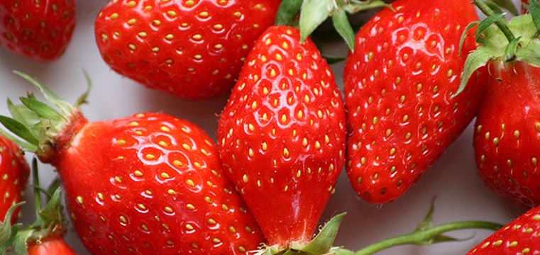 Fraises