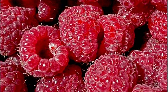 framboises