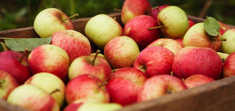 Pommes
