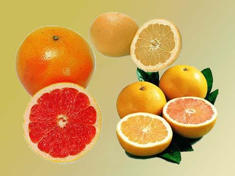 De saison: le Pamplemousse